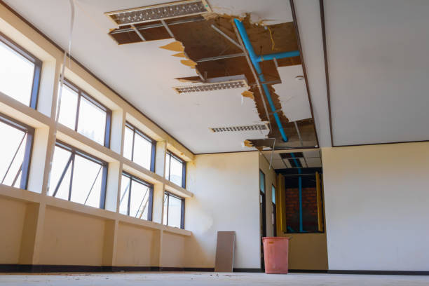 Best Water damage restoration near me  in Elm Creek, NE