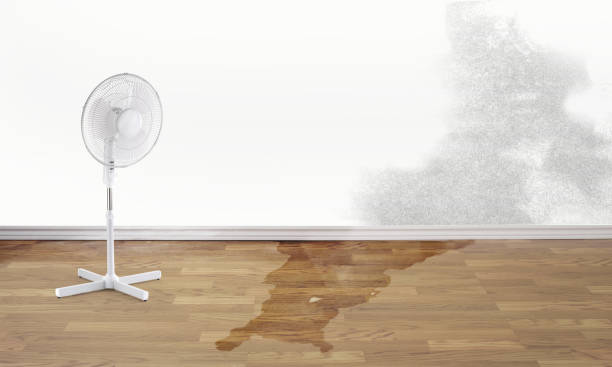 , NE Water damage restoration Company