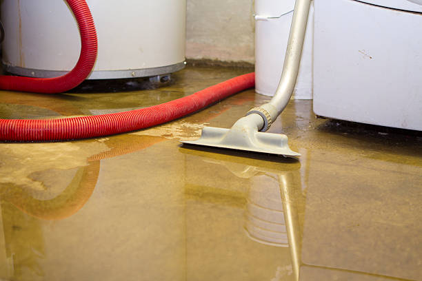 Best Water damage repair service  in Elm Creek, NE