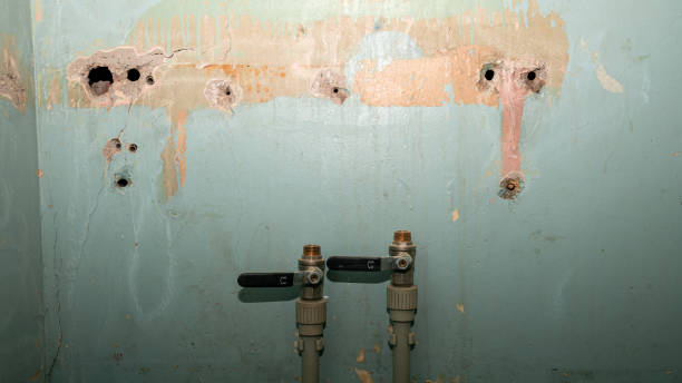 Water damage restoration experts in NE