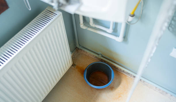 Best Flood damage cleanup  in Elm Creek, NE